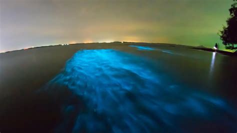  Milky Sea Plume: A Glowing Spectacle from the Depths?